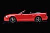 2004 Ford Mustang SVT Cobra  Picture